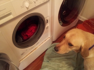 Warrior Doing Laundry for Me